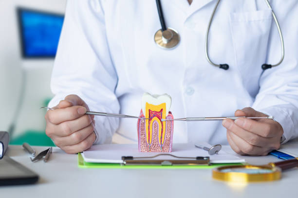 Best Dental Abscess Treatment in University Park, MD